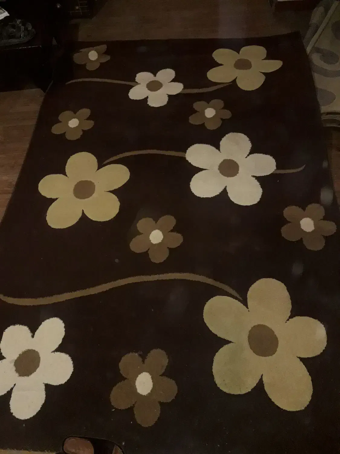 ۶عدد گلیم ۲تا۶ متر دوتا ۴ متر و۲تا سه متری سالم|گلیم، جاجیم، گبه|فولادشهر, فولادشهر|دیوار