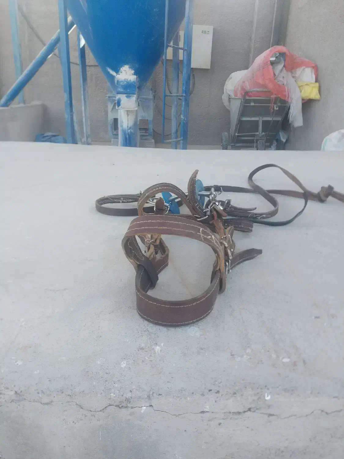 دهنه اسب تمام چرم|اسب و تجهیزات اسب‌سواری|کرمان, |دیوار