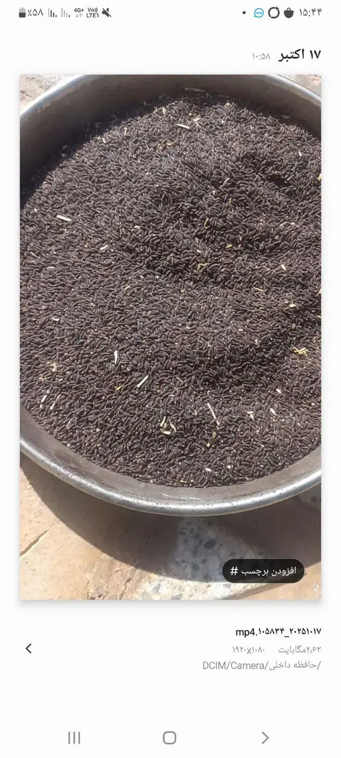 کنجد قهوه ی کیلویی 200|خوردنی و آشامیدنی|زرنه, |دیوار