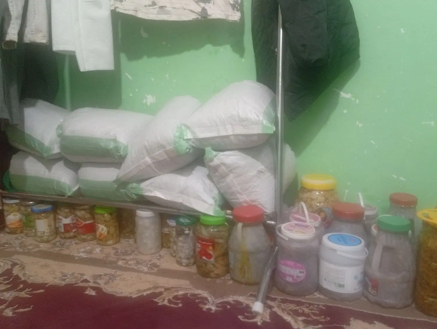 گیاه|گل و گیاه طبیعی|پاتاوه, |دیوار
