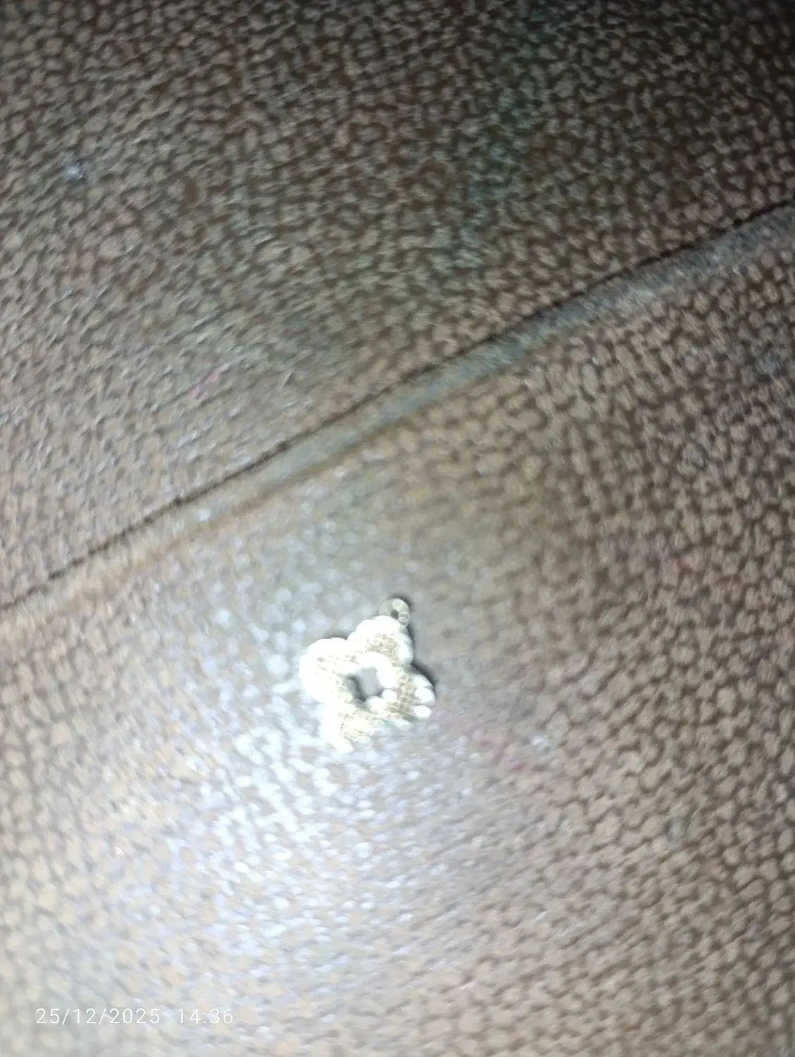 گمشده|جواهرات|کرمان, |دیوار