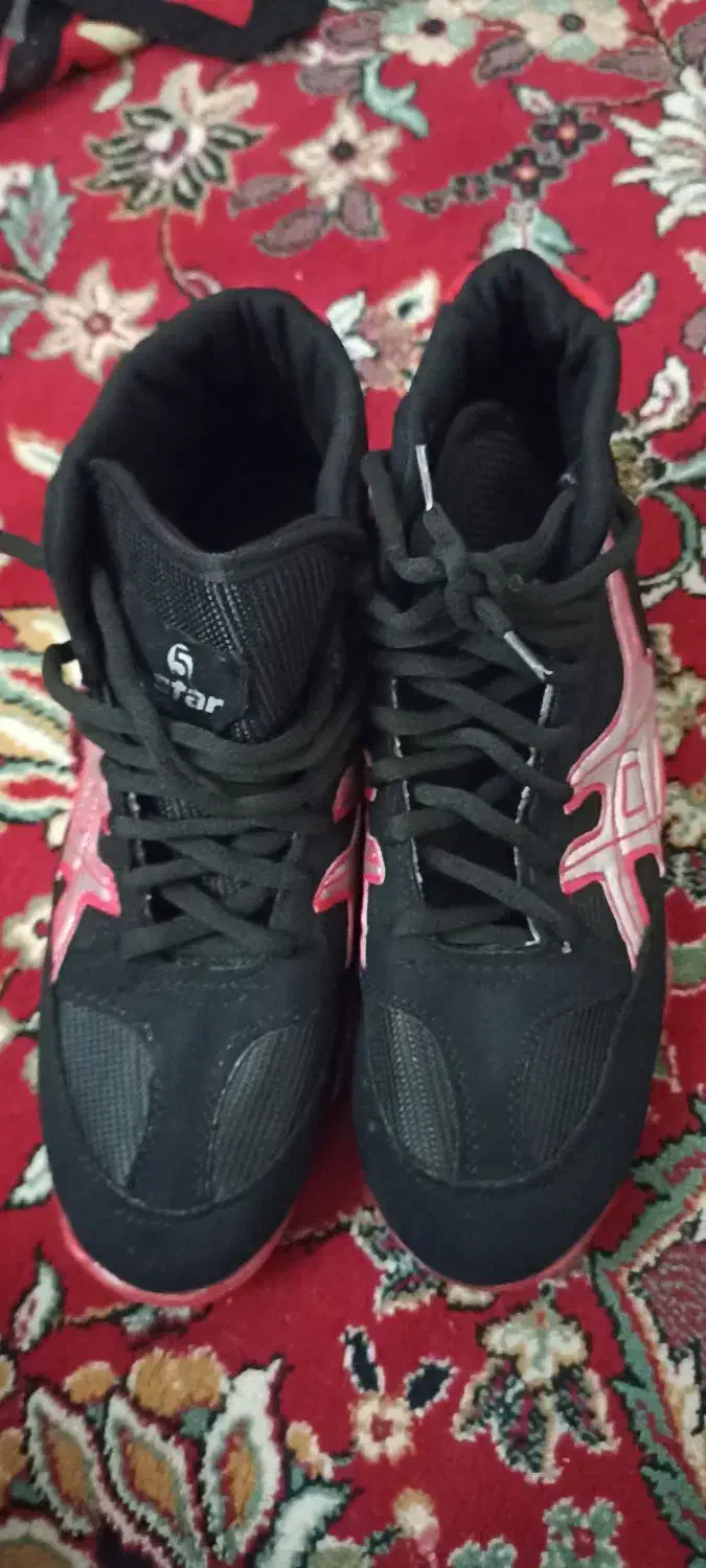 کفش کشتی|کیف، کفش، کمربند|بیجار, |دیوار