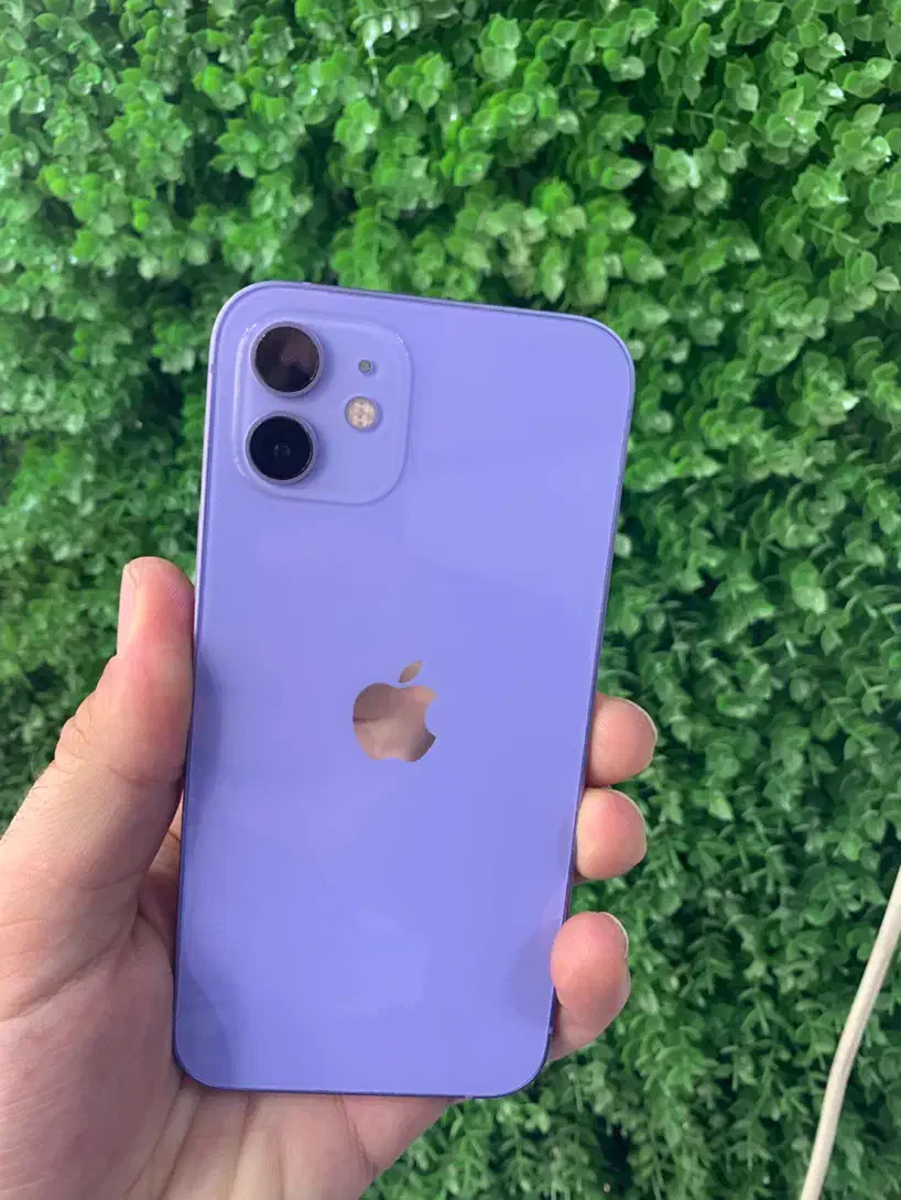 Iphone 12|موبایل|ارومیه, |دیوار