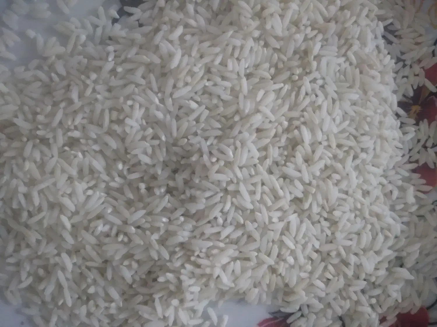 برنج محلی سالم|خوردنی و آشامیدنی|دورود, |دیوار