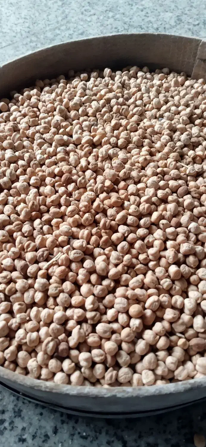 نخود دیم خوب درجه یک مال کردستان|عمده‌فروشی|هشتگرد, فاز ۷ مهستان|دیوار