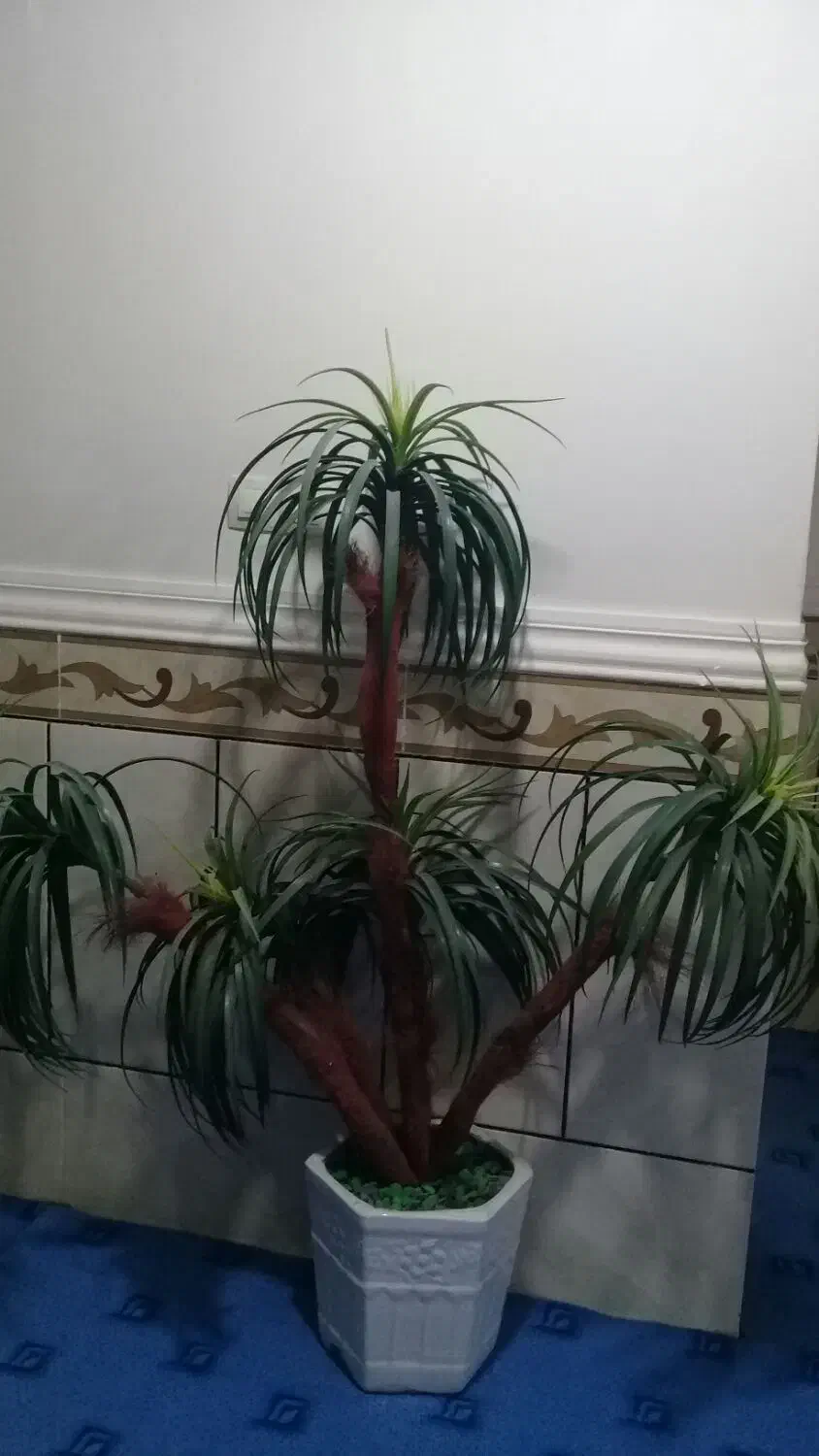 گل مصنوعی تزیئنی|گل مصنوعی|آبپخش, |دیوار