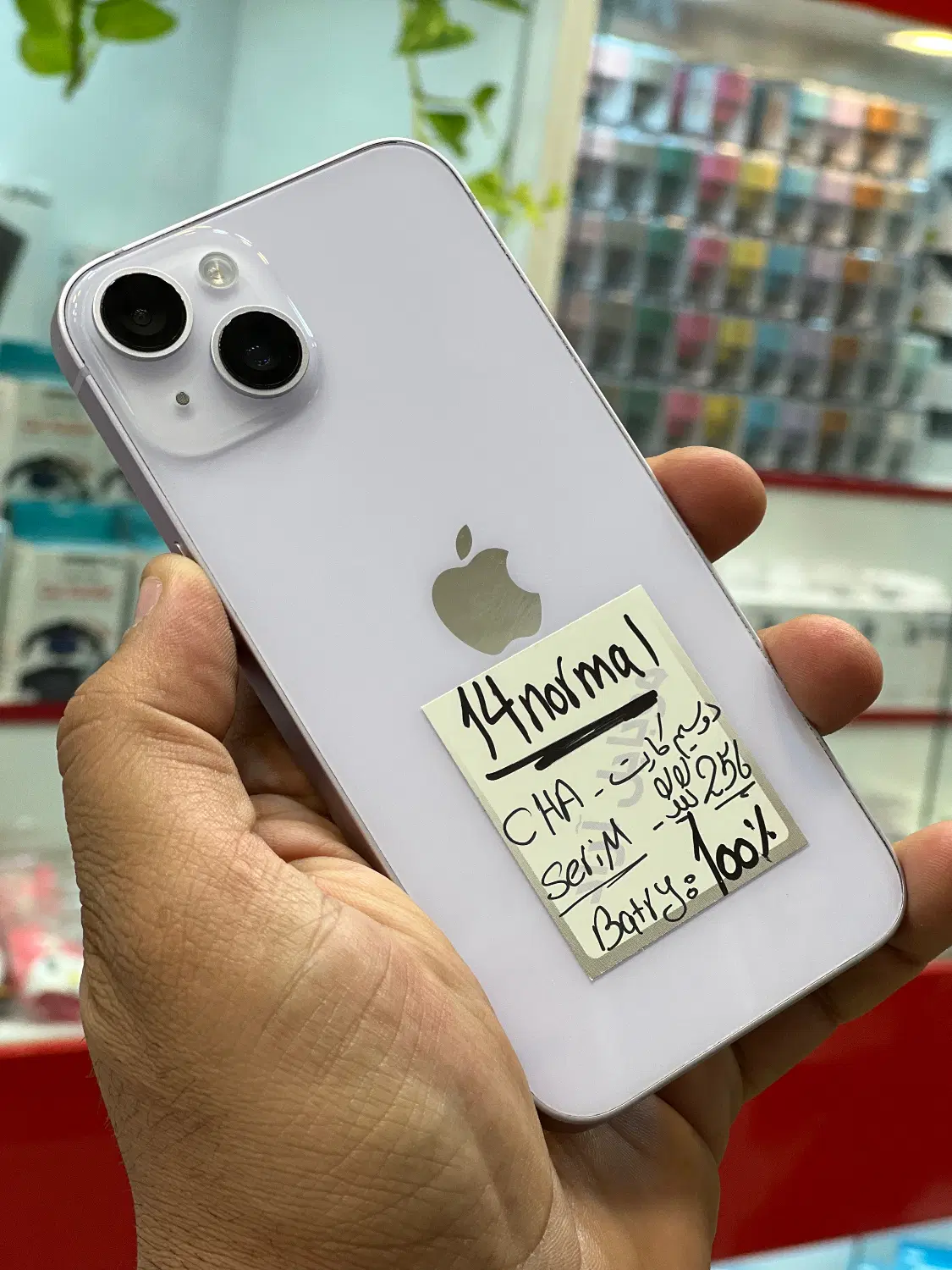 iPhone 14|موبایل|شیراز, زند|دیوار