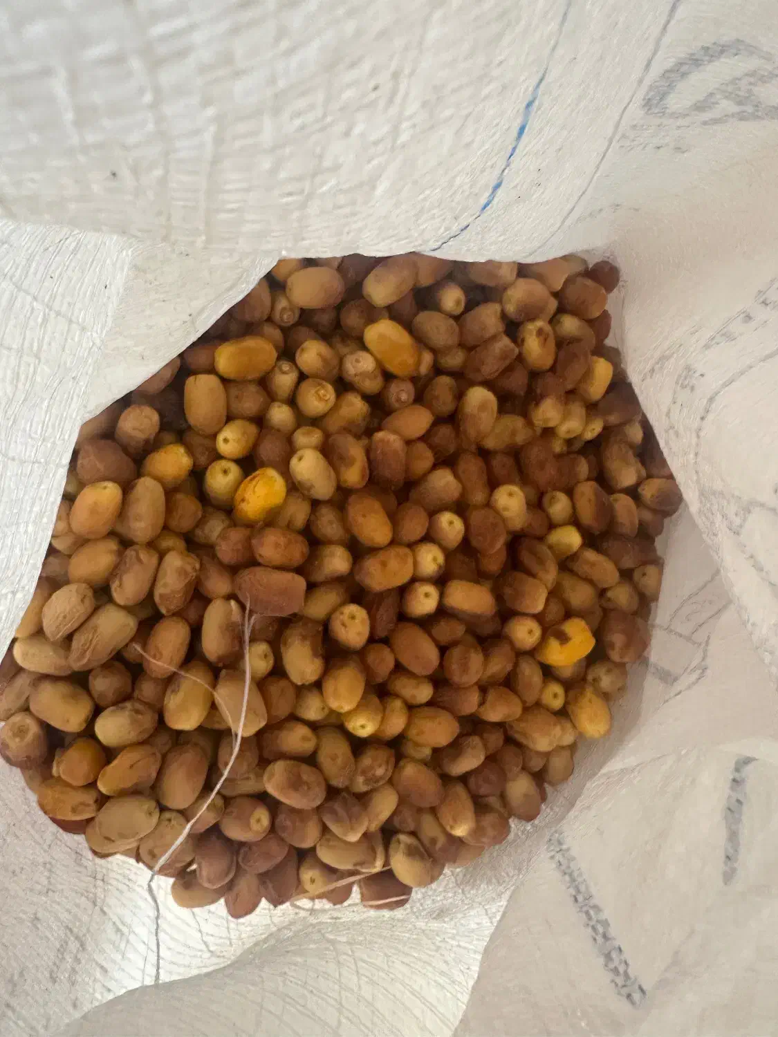 قصب تازه|خوردنی و آشامیدنی|شیراز, رکن‌آباد|دیوار