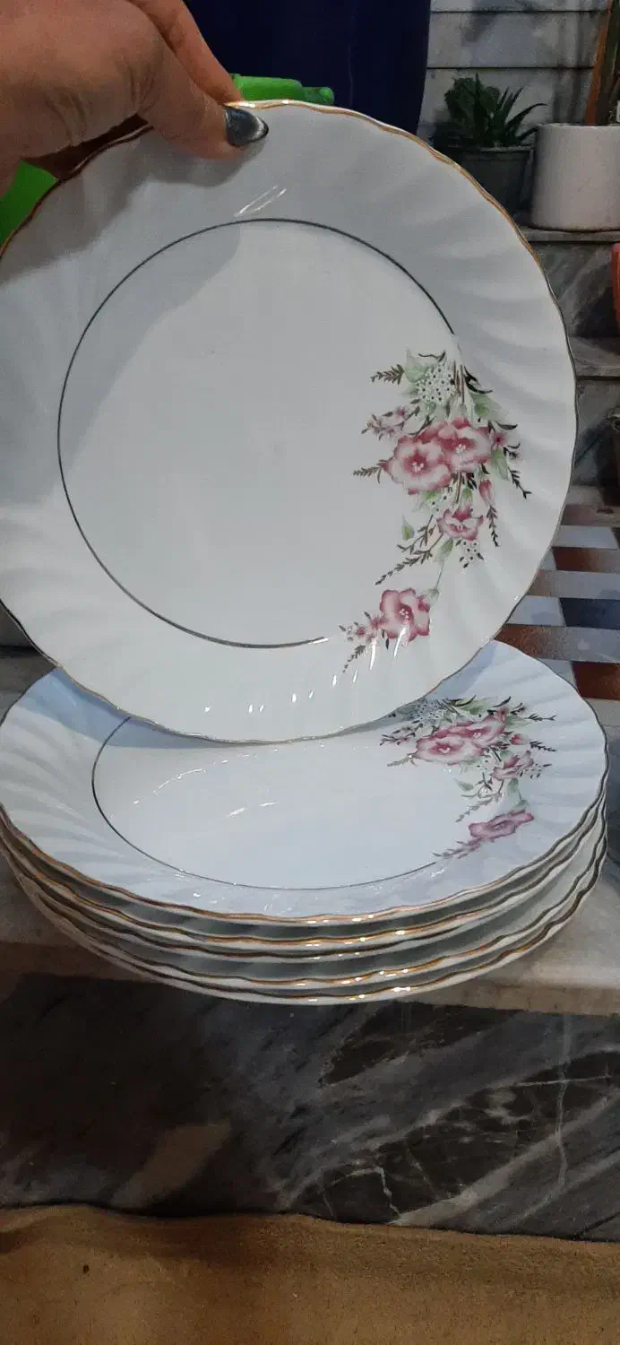 چینی اصل|ظروف سرو و پذیرایی|کرمانشاه, |دیوار