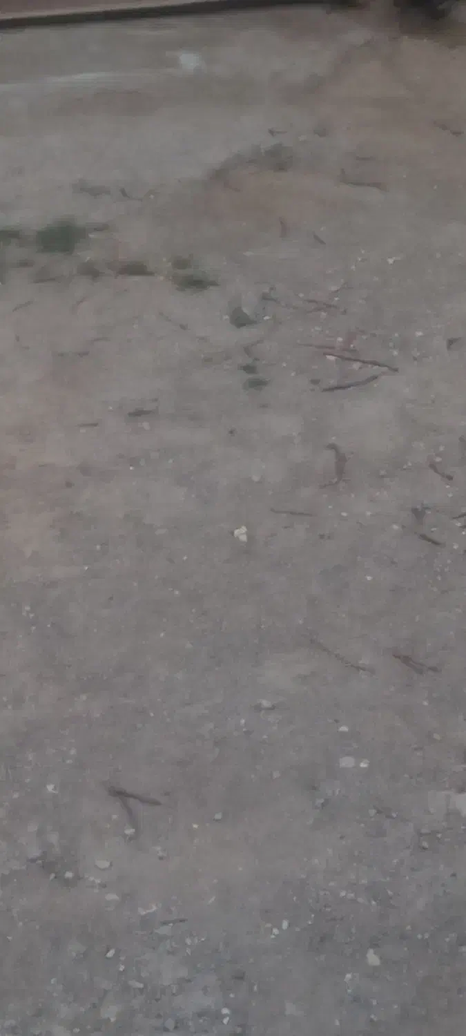 زمین خالی سمت آبشار آوج|فروش زمین و ملک کلنگی|آوج, |دیوار