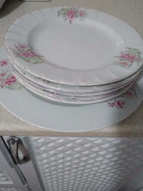 ظروف چینی|ظروف سرو و پذیرایی|پردیس, فاز ۵|دیوار