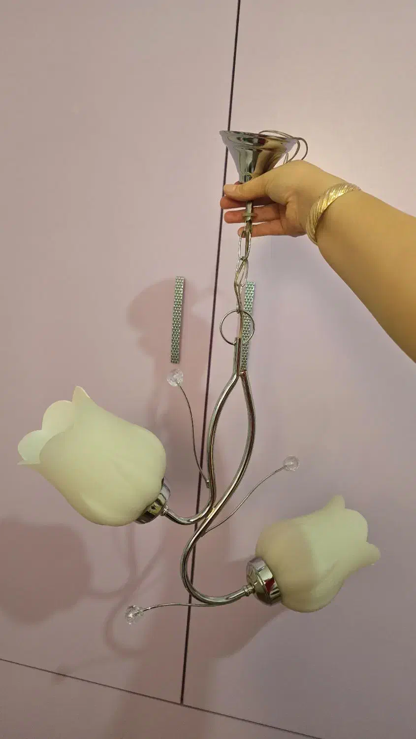 لوستر شیک|لوستر و چراغ آویز|تبریز, |دیوار