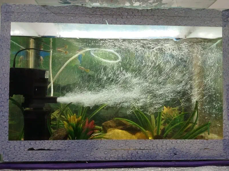 تصفیه آب|آب‌سردکن و تصفیه آب|مشهد, فاطمیه|دیوار