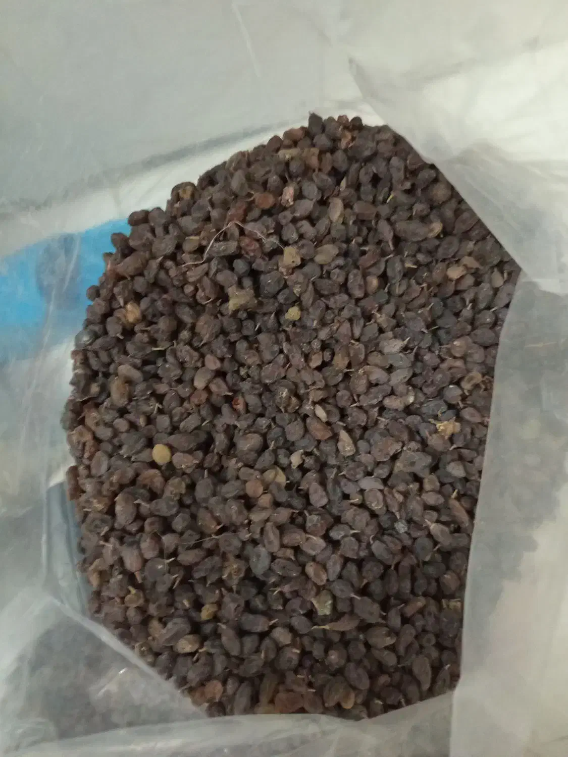 فروش کشمش آفتابی وپلویی|خوردنی و آشامیدنی|ملایر, |دیوار