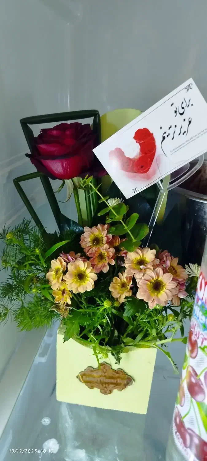 باکس گل زیبا|گل و گیاه طبیعی|کاشمر, |دیوار