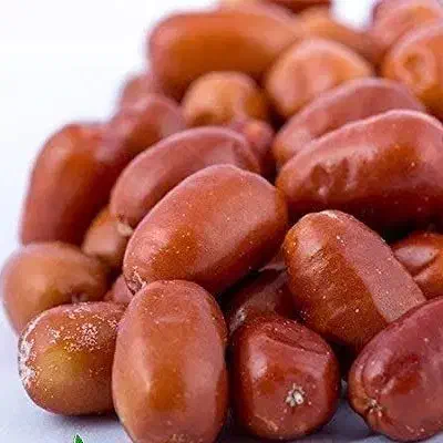 پیشفروش نهال سنجد دراوا|خدمات باغبانی و درختکاری|طبس, |دیوار