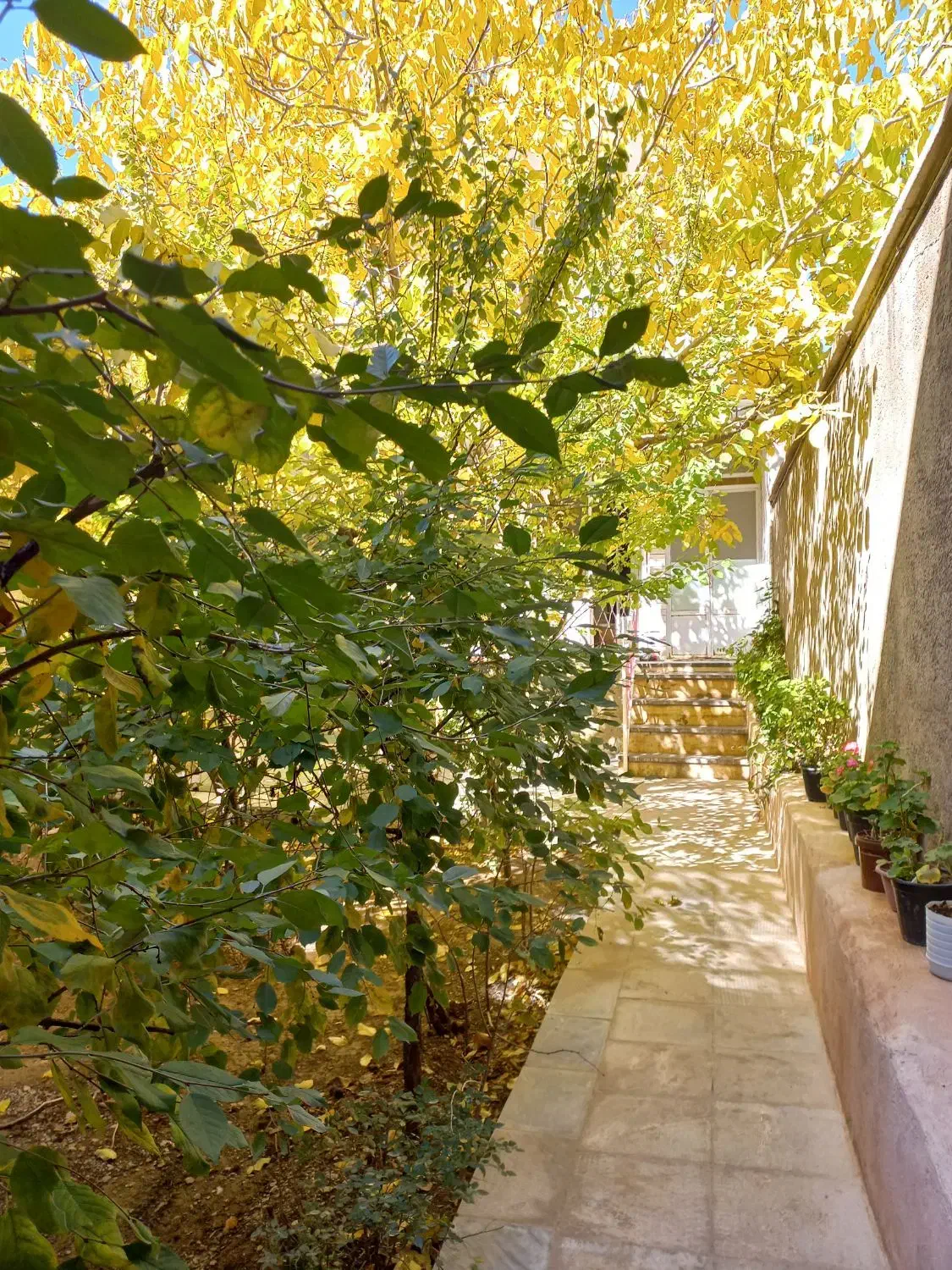 منزل حیاطدار روزانه هفتگی ماهانه خوانسار|اجارهٔ کوتاه‌مدت ویلا و باغ|خوانسار, |دیوار