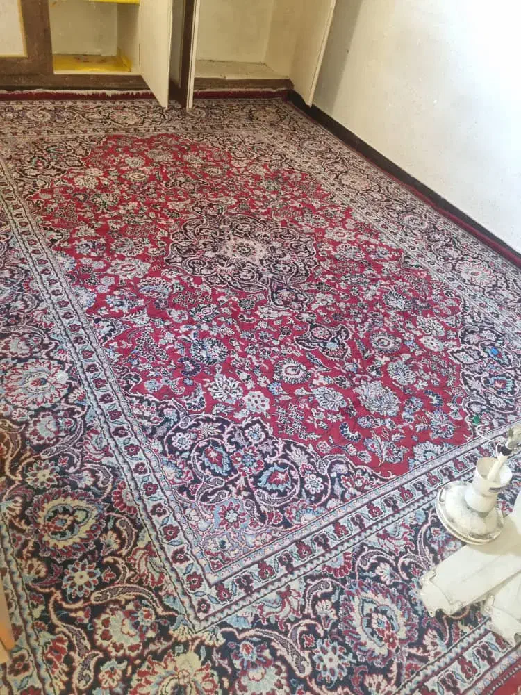 فروش چند قلم موکت و گلیم فرش تمیز باهم|موکت|شوش, |دیوار