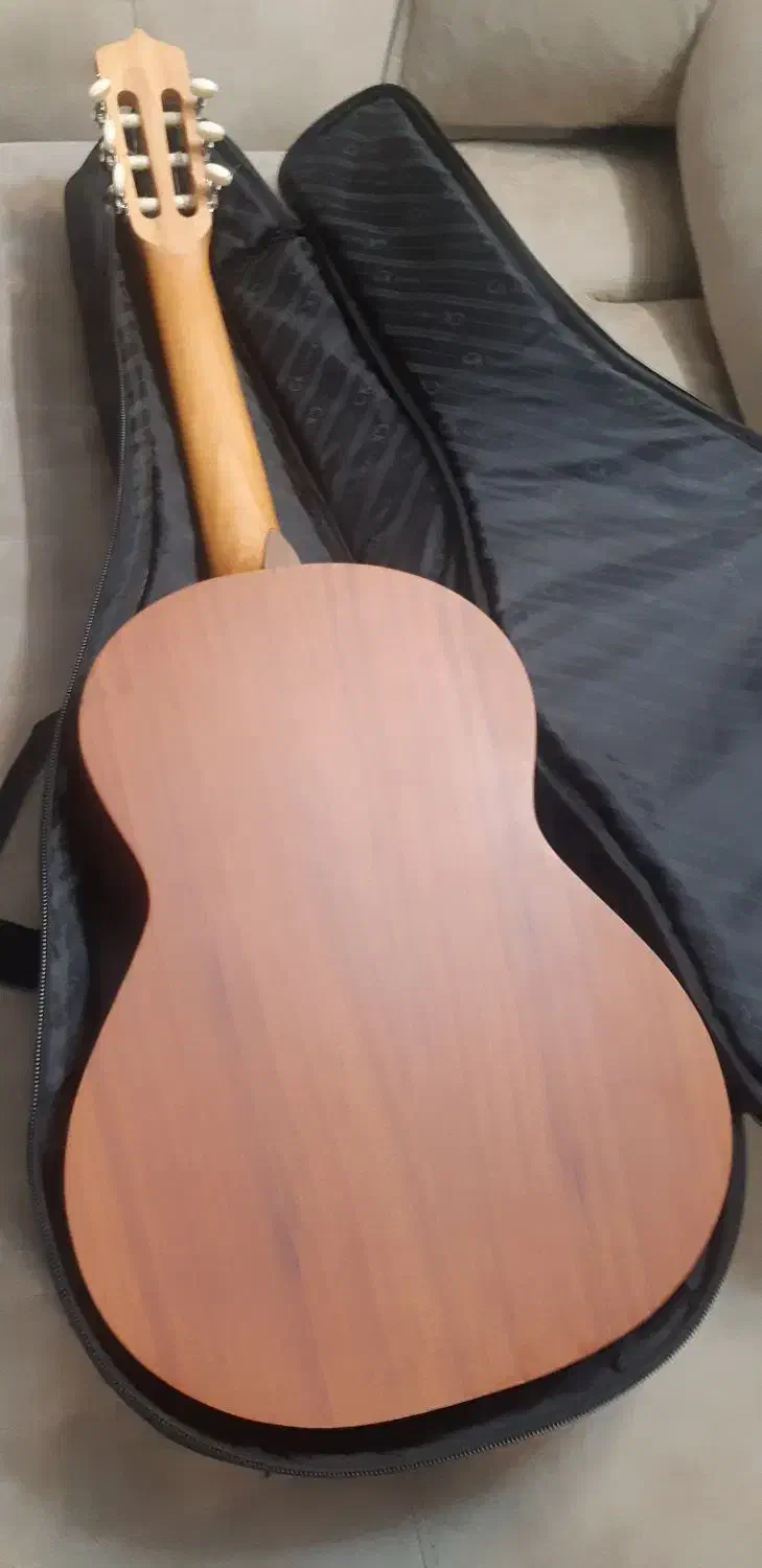 گیتار پارسی M5|گیتار، بیس، امپلیفایر|تهران, پرستار|دیوار