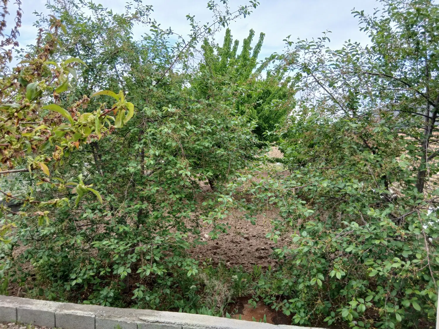 تصویر 3
