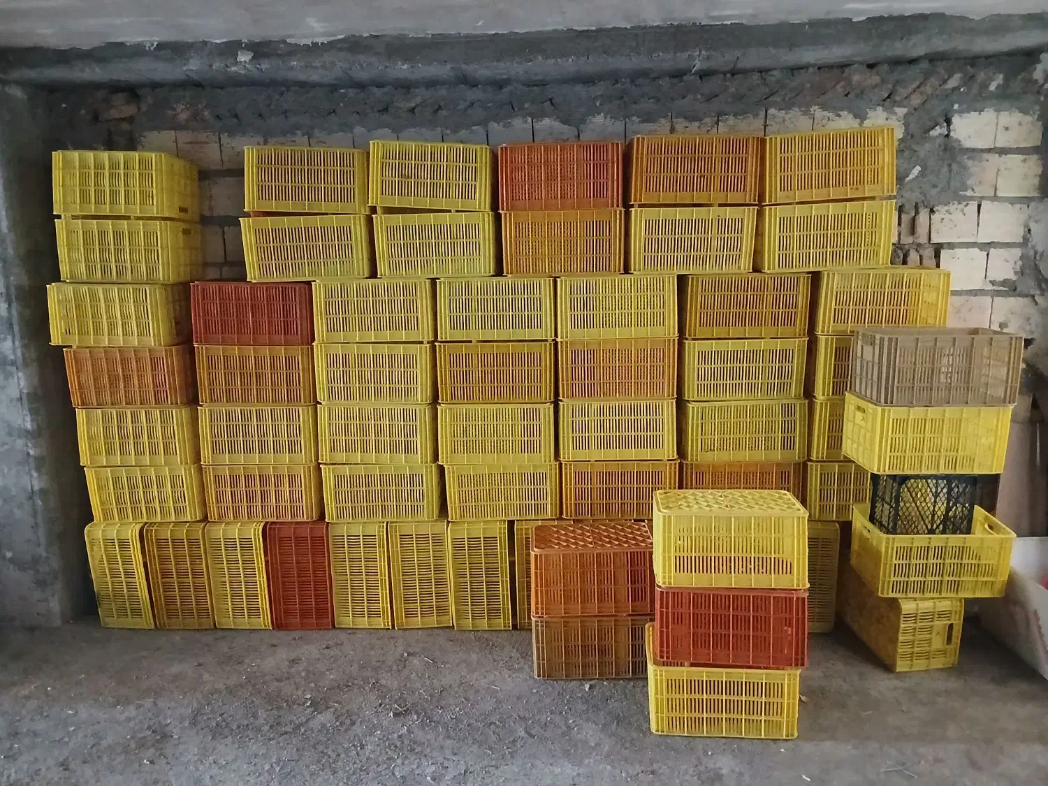 سبد میوه|ظروف نگهدارنده، پلاستیکی، یکبارمصرف|سراب, |دیوار