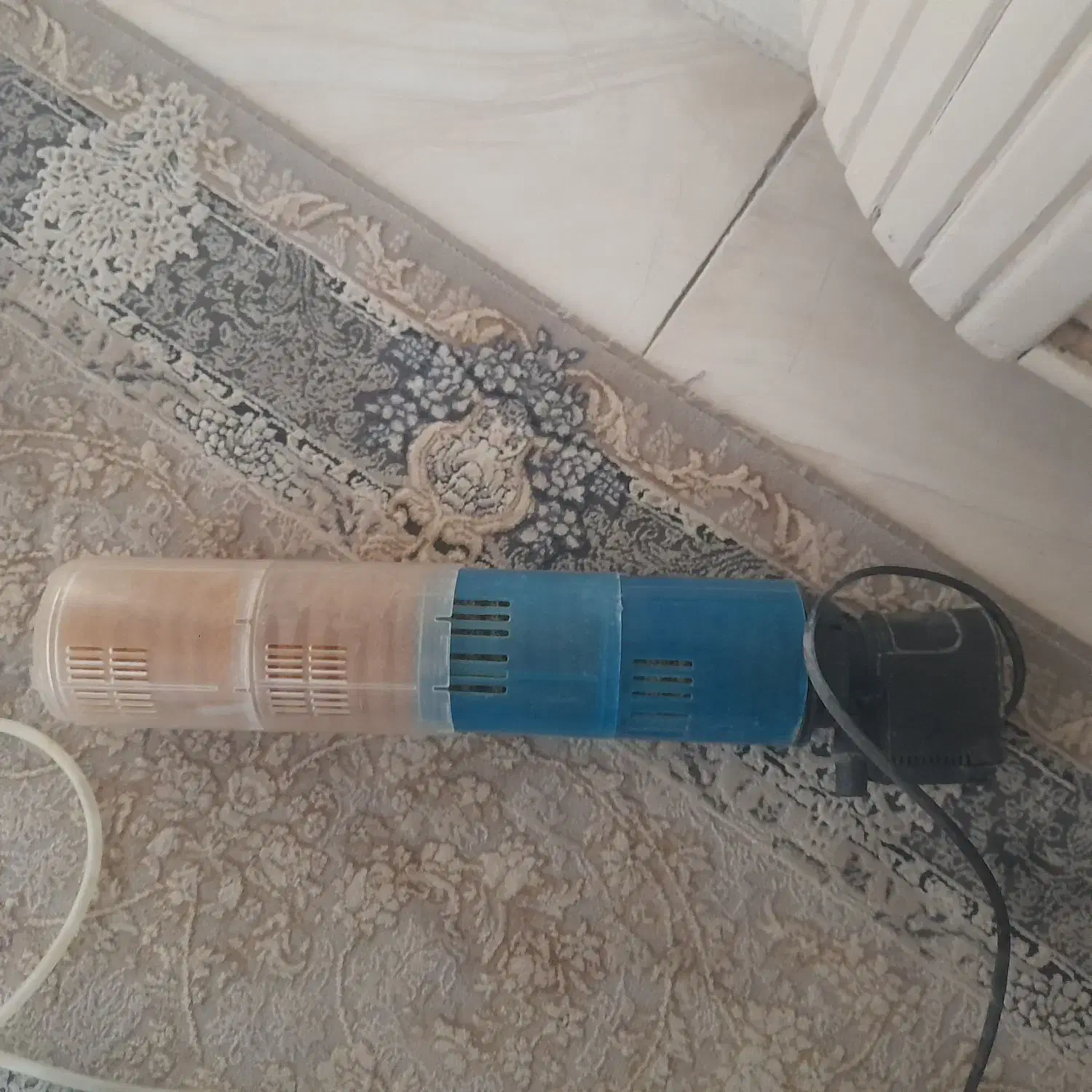 وسایل آکواریوم|ماهی|فولادشهر, A2|دیوار