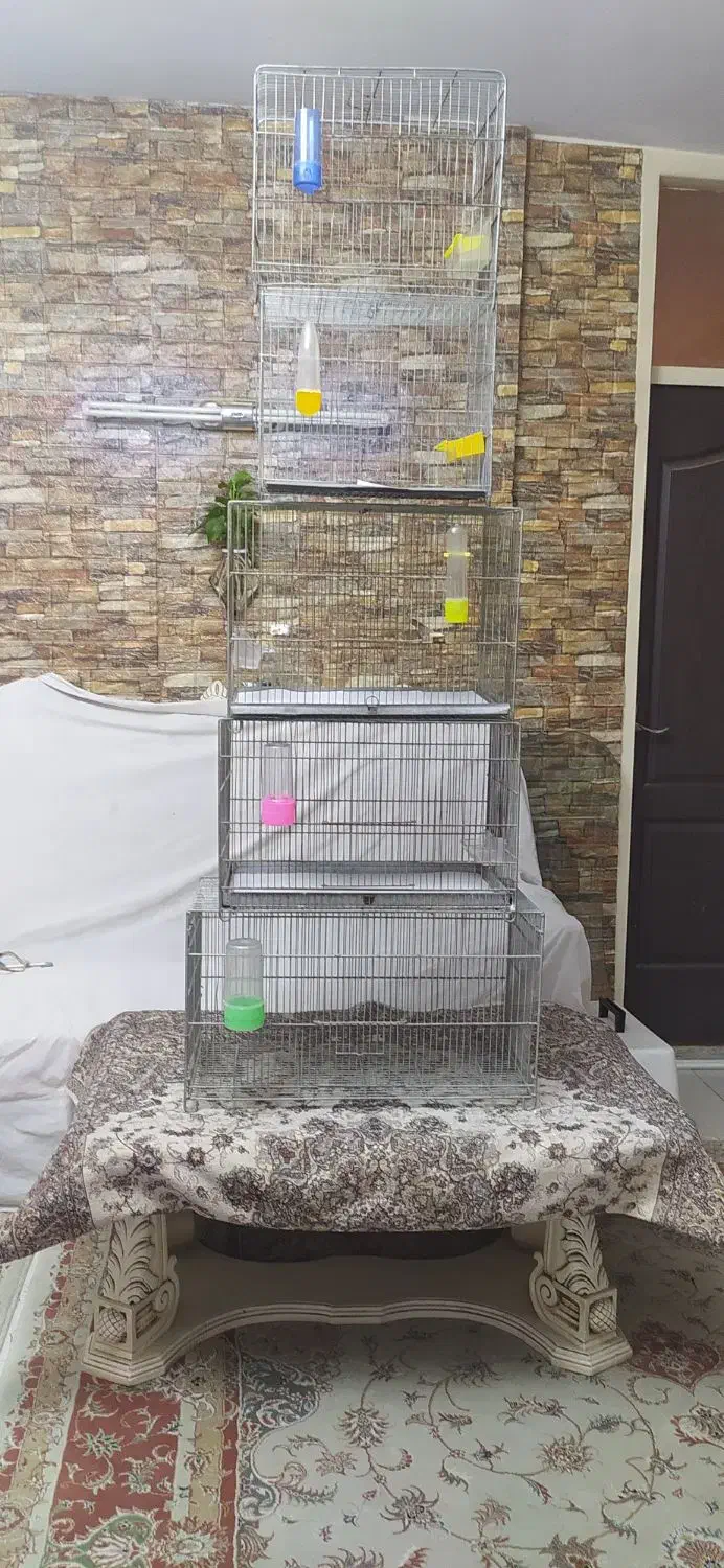 قفس کوچک وبزرگ پرنده جوجه پران|لوازم جانبی حیوانات|تهران, دهقان|دیوار