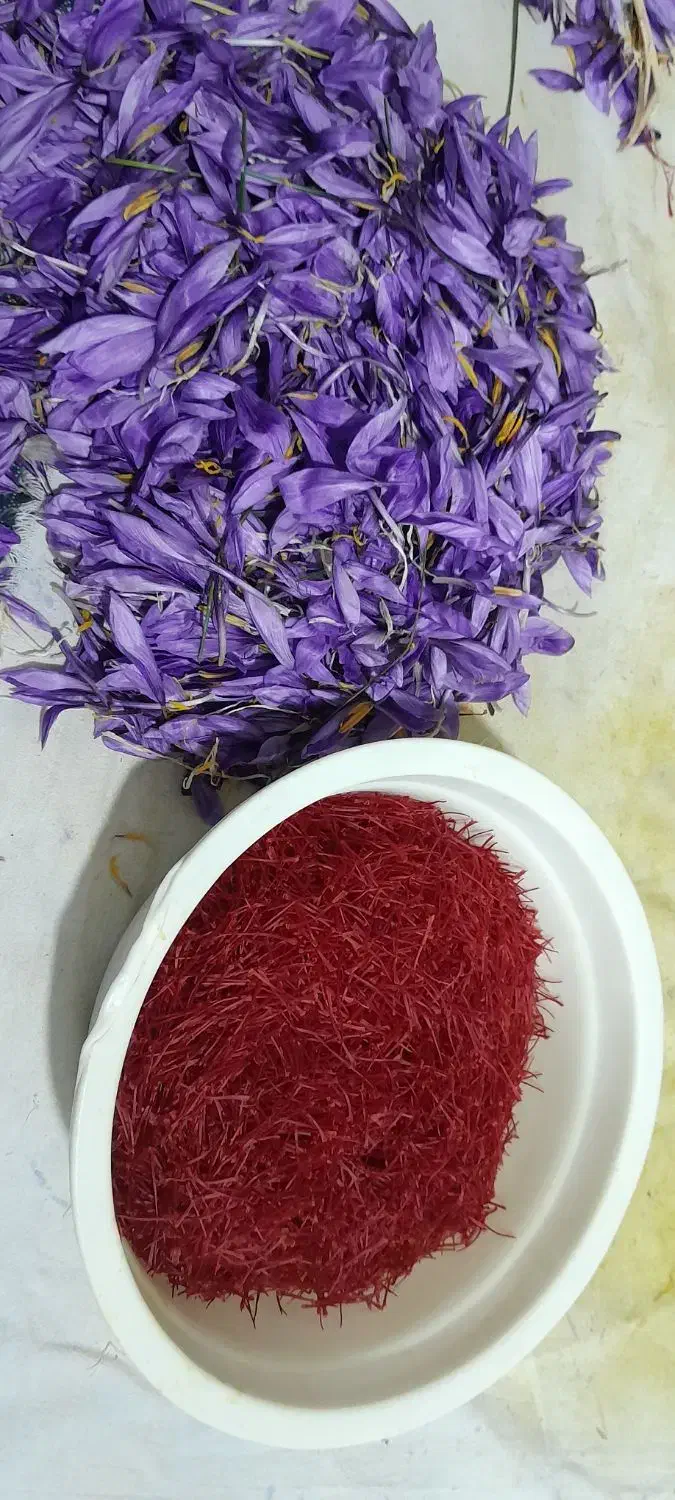 زعفران|خوردنی و آشامیدنی|تربت جام, جامی|دیوار