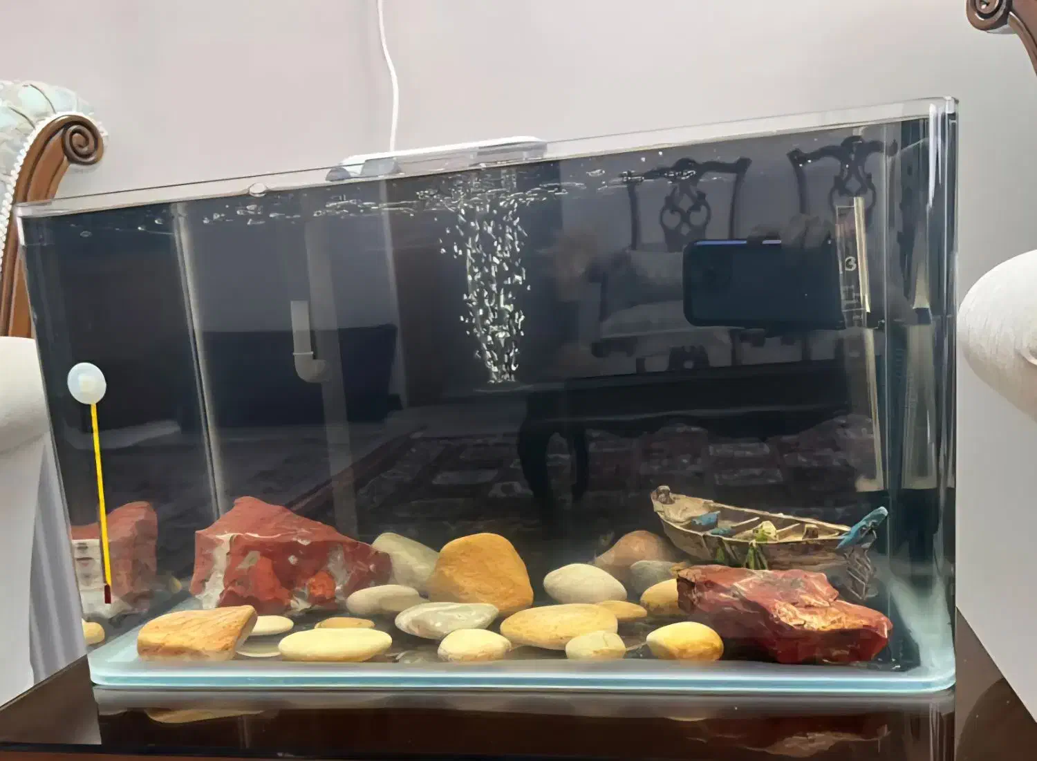 آکواریوم|ماهی|اصفهان, کوی ولی عصر|دیوار