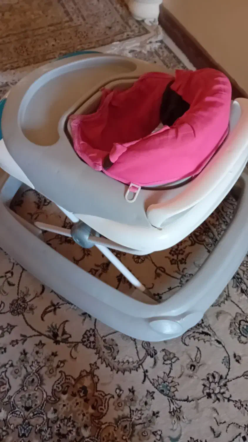 روروئک|کالسکه و لوازم جانبی|اصفهان, شیخ اشراق|دیوار