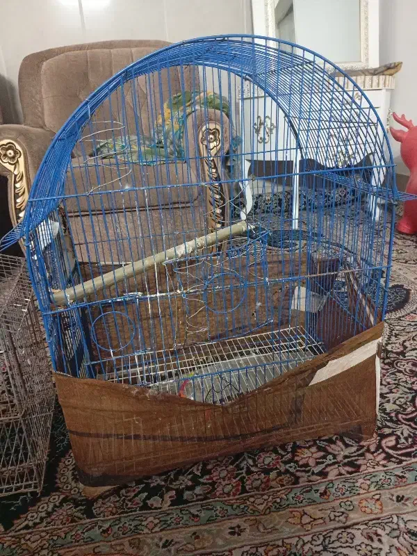 قفس پرنده|لوازم جانبی حیوانات|مشهد, تلگرد|دیوار