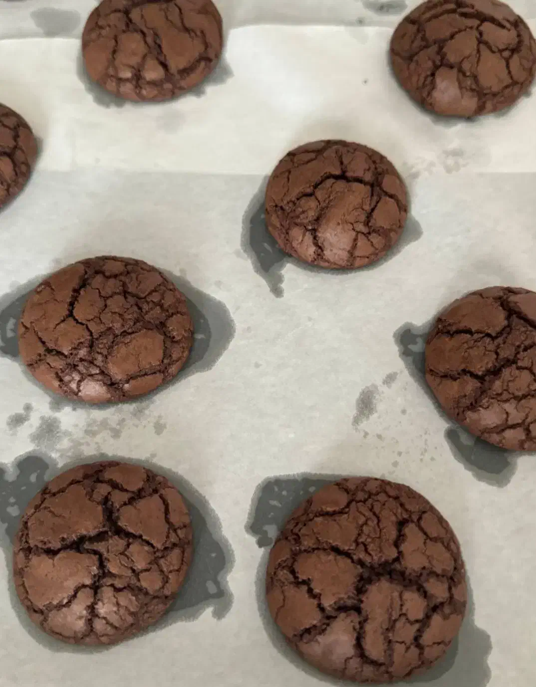 کوکی|خدمات پذیرایی، مراسم|اردبیل, |دیوار