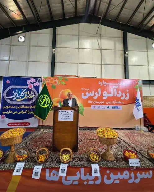 فروش باغ زردآلو در جلفا|فروش زمین و ملک کلنگی|جلفا, |دیوار