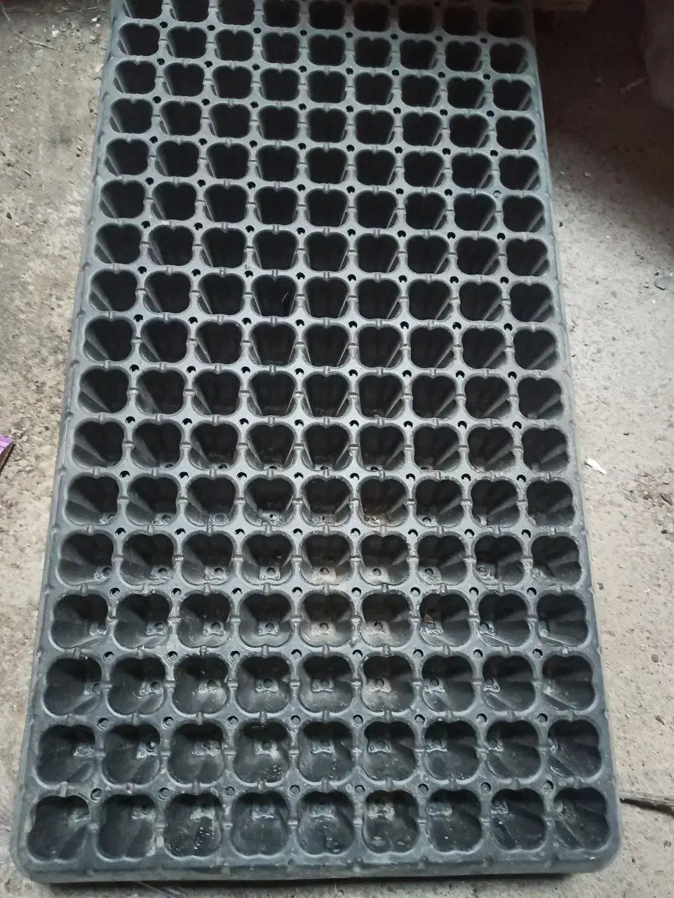 سینی نشا برای بذر|گل مصنوعی|مشهد, کلاکوب|دیوار