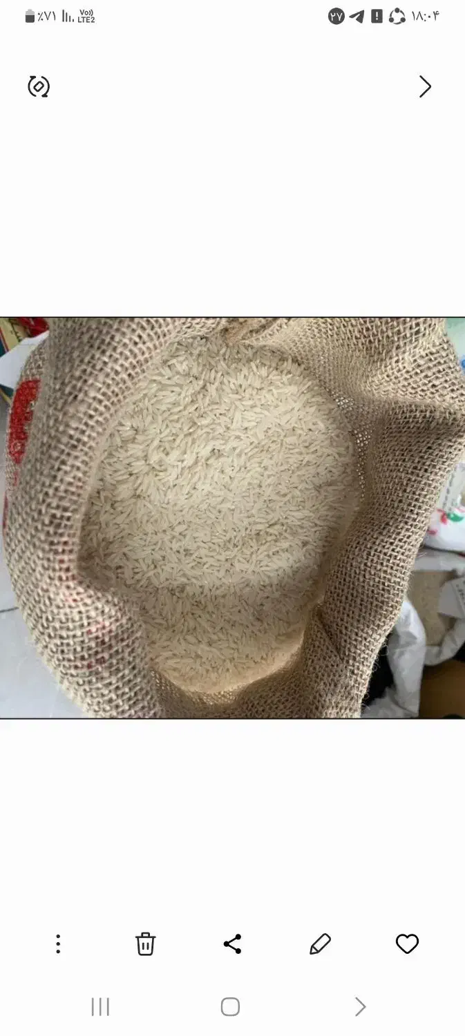 برنج علی کاظمی خو ش پخت دربیرانشهر|خوردنی و آشامیدنی|بیرانوند, |دیوار