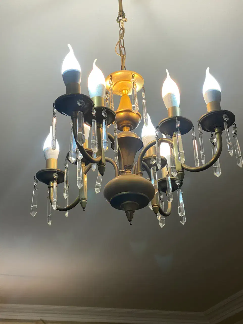 لوستر  ۸ شاخه طلایی|لوستر و چراغ آویز|اردبیل, |دیوار