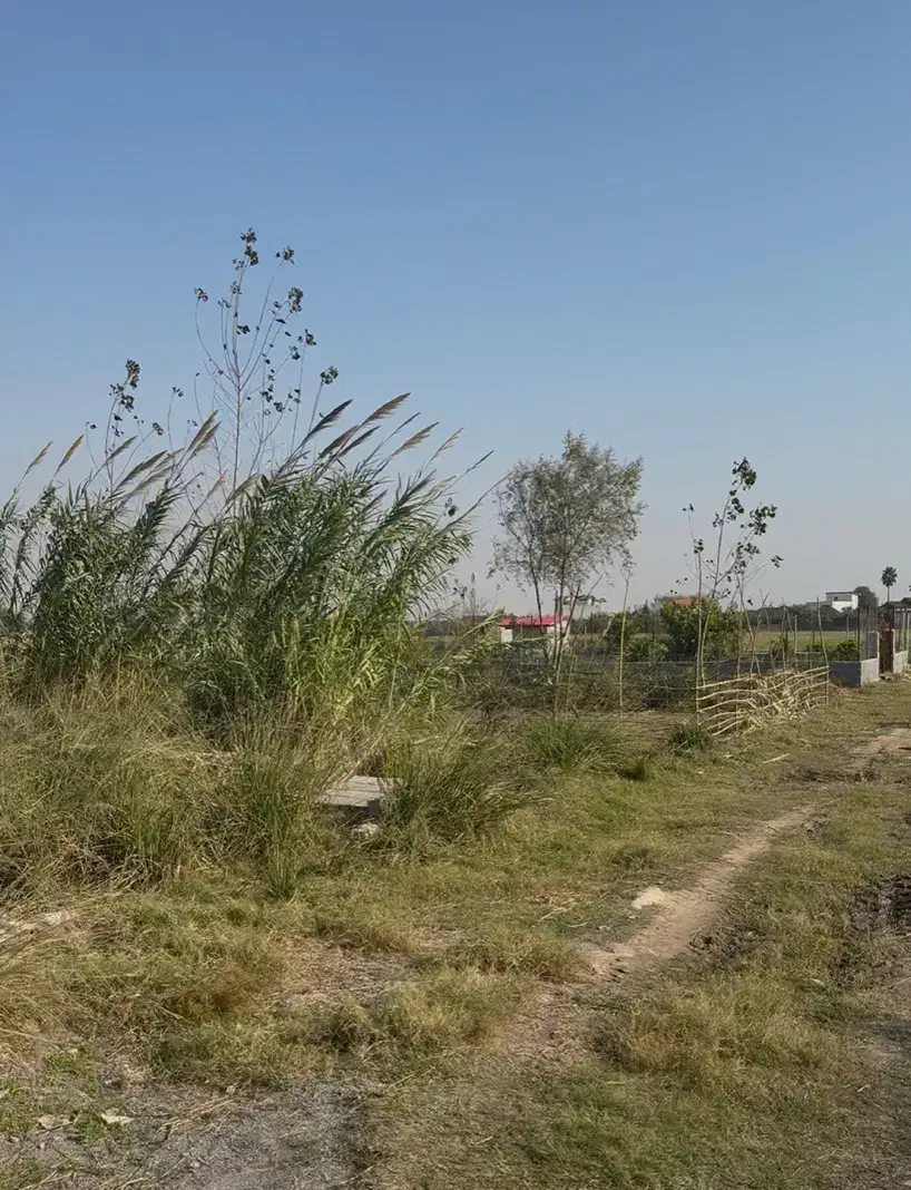 ۲۱۰ متر درحال الحاق/دابودشت/فروش یا معاوضه|فروش زمین و ملک کلنگی|دابودشت, |دیوار