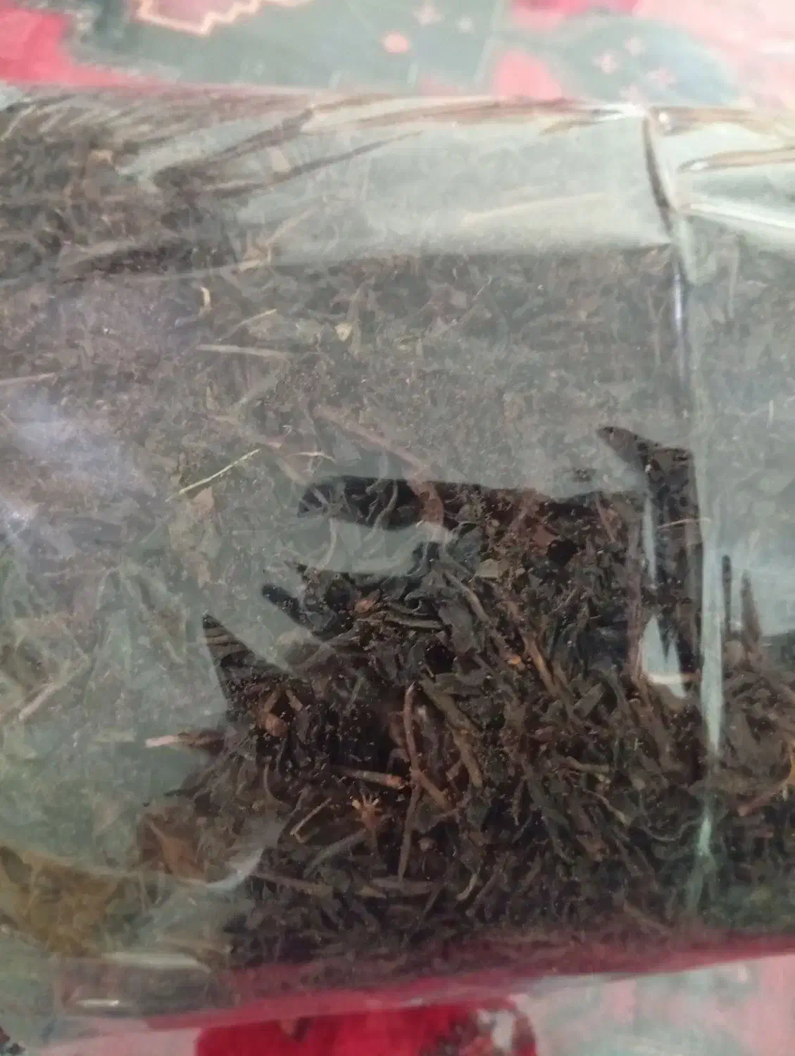 فروش چای لاهیجان|خوردنی و آشامیدنی|تهران, دولاب|دیوار