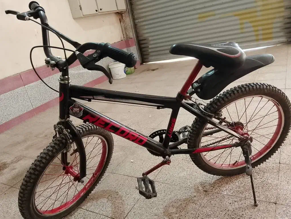 دوچرخه|دوچرخه، اسکیت، اسکوتر|مسجد سلیمان, |دیوار