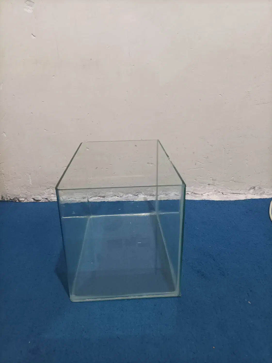 آکواریم|ماهی|مشهد, چهارچشمه|دیوار