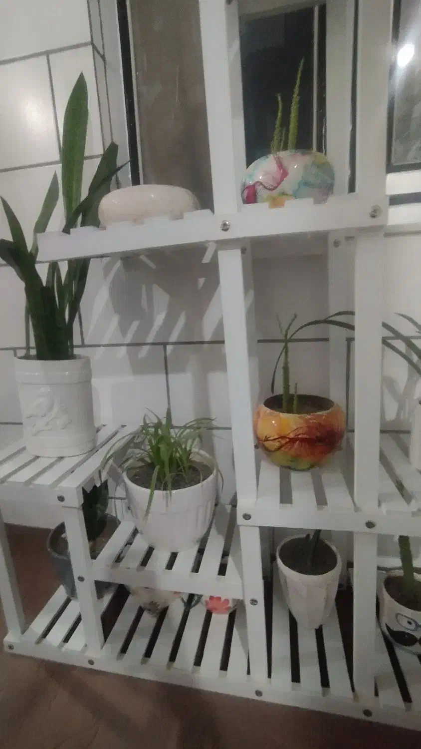 استند وگل وگلدان|گل و گیاه طبیعی|سرپل ذهاب, |دیوار