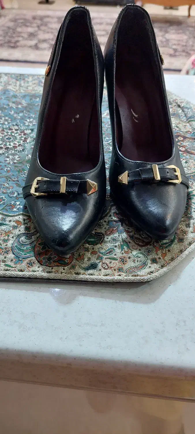 کفش مجلسی|کیف، کفش، کمربند|بندر انزلی, معلم|دیوار