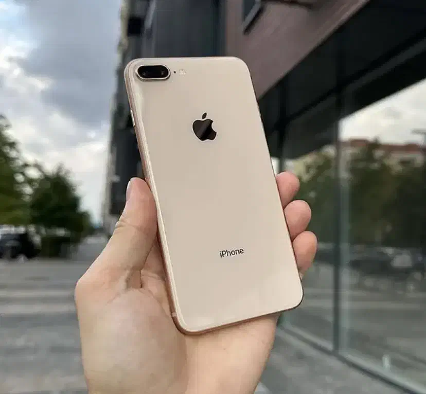 ایفون 8 پلاس 256 گلد|موبایل|تهران, آبشار تهران (دریاچه)|دیوار