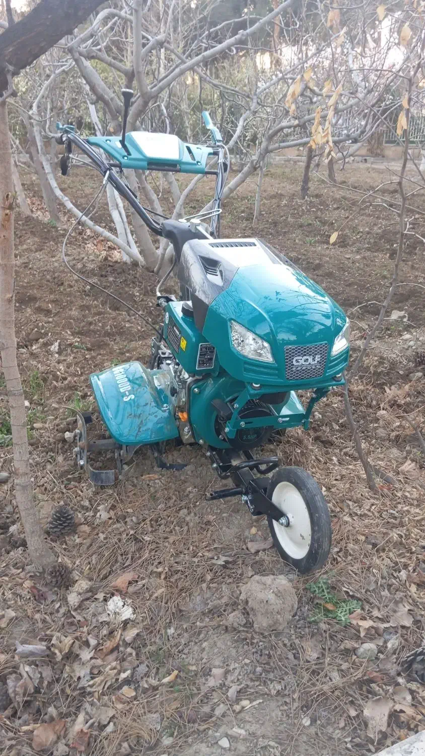 خدمات باغ و باغبانی|خدمات باغبانی و درختکاری|محمدشهر, همایون ویلا|دیوار