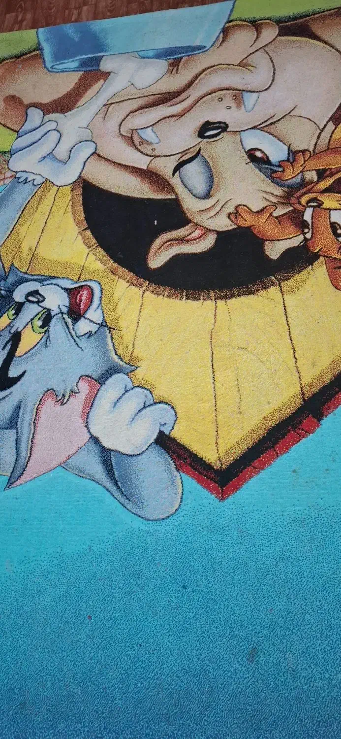 فرش تام وجری|فرش|بوشهر, |دیوار