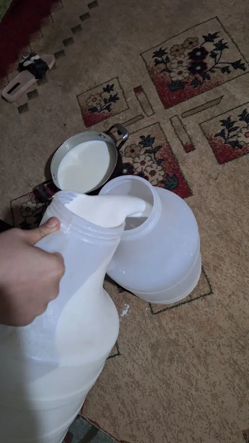 شیر تازه|خوردنی و آشامیدنی|آبپخش, |دیوار