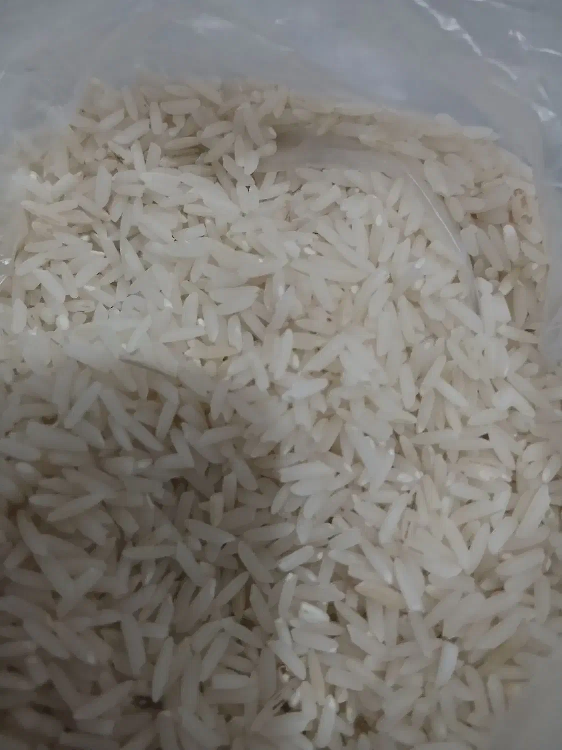 برنج هاشمی|خوردنی و آشامیدنی|رشت, پارک شهر|دیوار