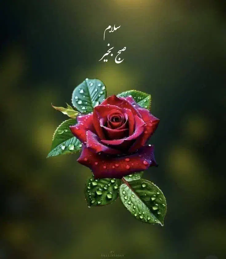 کارگر خدمات در منزل آقا ۳۸ ساله پاک ورزشکار|خدمات نظافت|کرمان, |دیوار