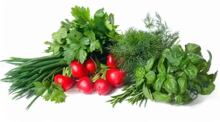 سفارش سبزی پاک شده و سبزی خوردن|خوردنی و آشامیدنی|قم, حقیقت|دیوار