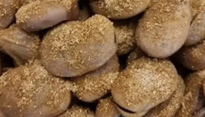 پخش باقالی خشک|خوردنی و آشامیدنی|تهران, انبار نفت|دیوار